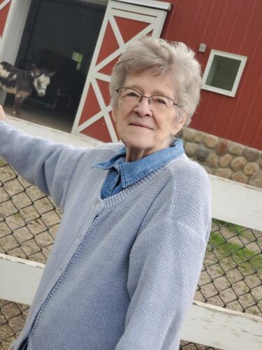 Carol J. Gieseke